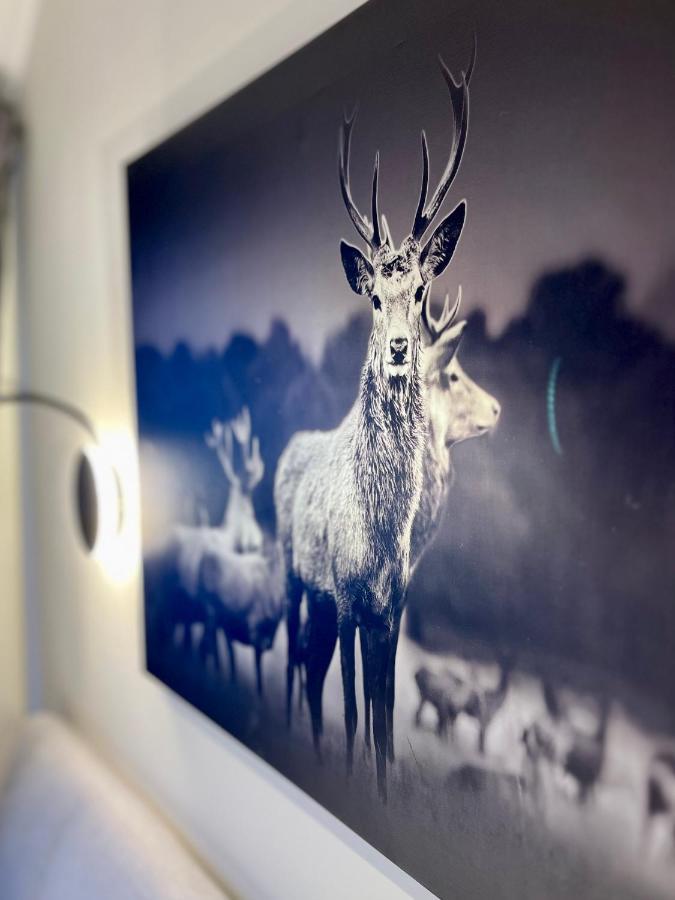 Wohlbfinden2 Appartementhaus Braunlage Zewnętrze zdjęcie